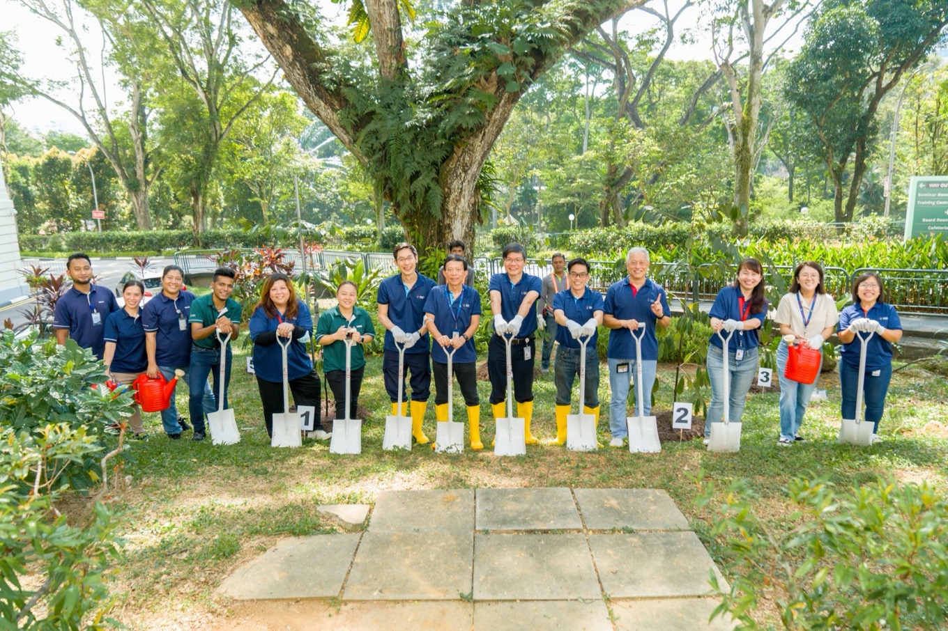 Tree-Planting