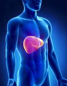 Adult Liver Transplantation